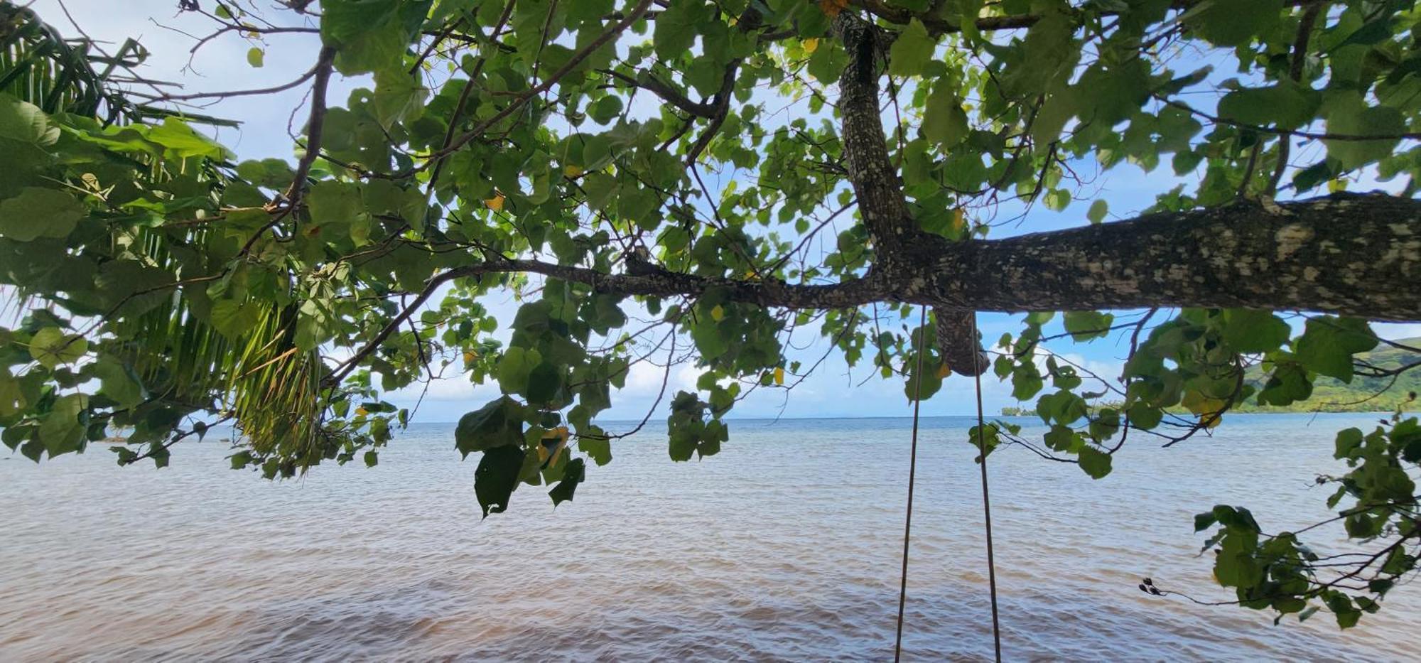 Fare Mama Rota - Au Bord De L'Ocean Villa Taputapuapea Dış mekan fotoğraf